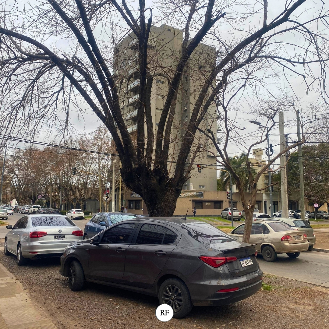 Lote sobre Domingo F. Sarmiento 1920 - Imagen 3